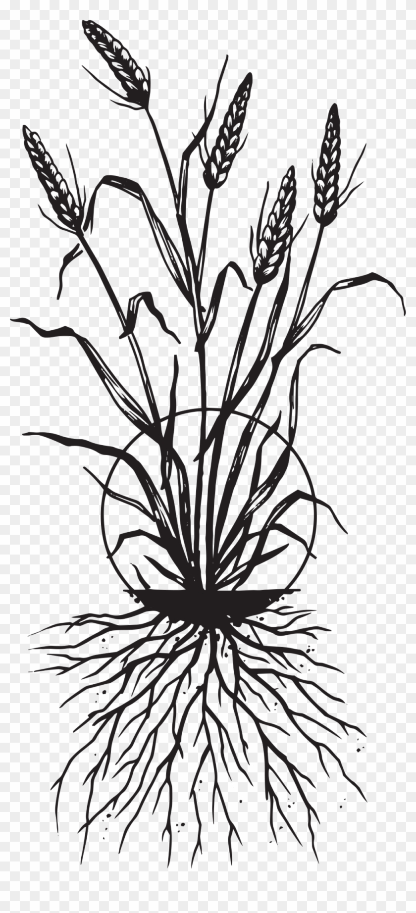 Portable Network Graphics #1015749