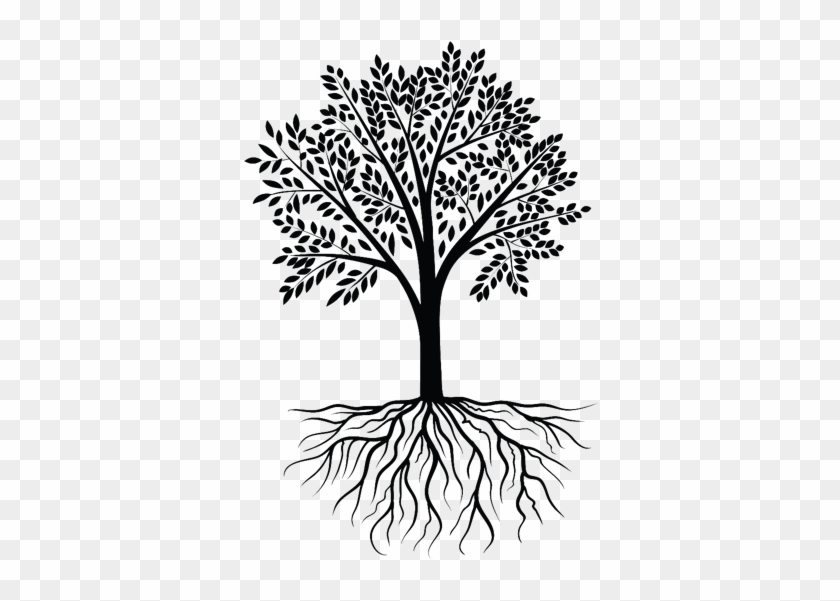 Plant Roots Png Download - Tree Root Vector Png #1015761