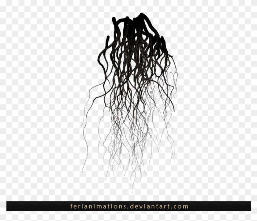 Roots Stock By Ferianimations - Transparent Background Roots Png #1015766
