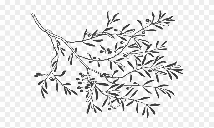 Charcoal Olive Branch Clip Art - Free Transparent Graphic Olive Tree #1015775