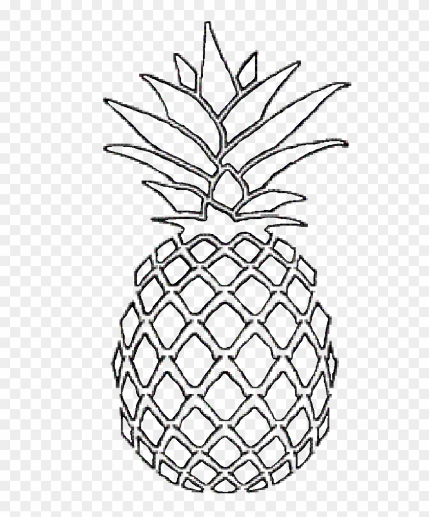 Pineapple Drawing Related Keywords & Suggestions - Pineapple Draw #1015777