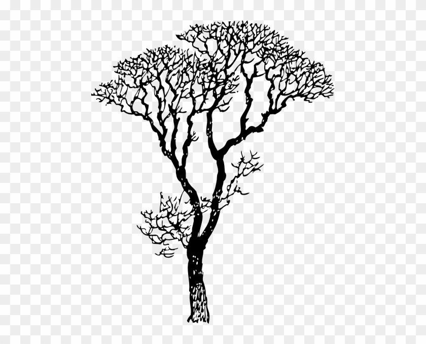 Bare Tree Clip Art - Black And White Tree Drawing #1015781
