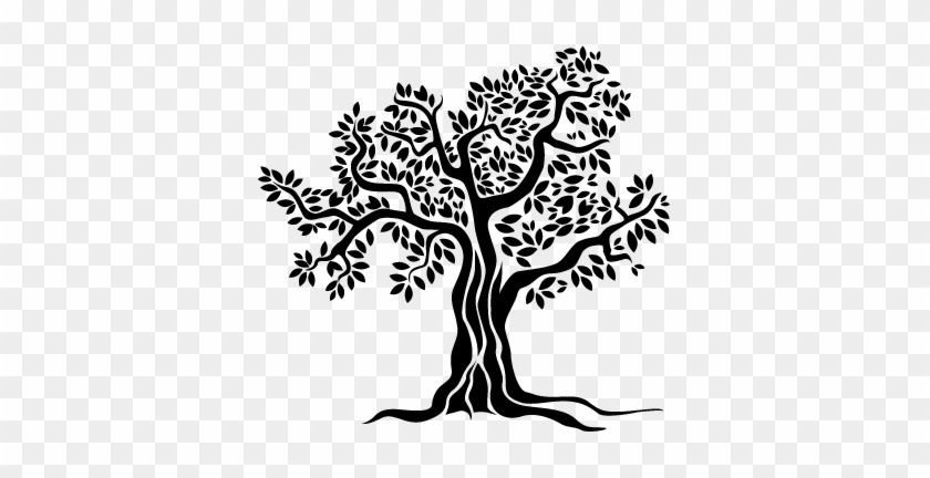 Old Olive Tree Monochrome Wall Sticker - Vector Tree Olives #1015782