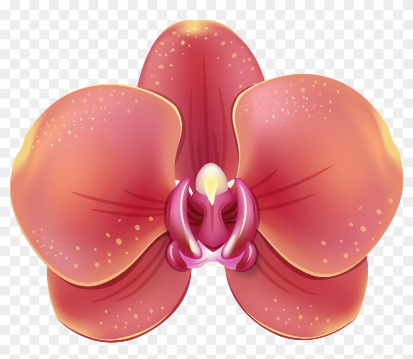 Stunning Orchid Flower Clip Art Medium Size - Clip Art #1015794