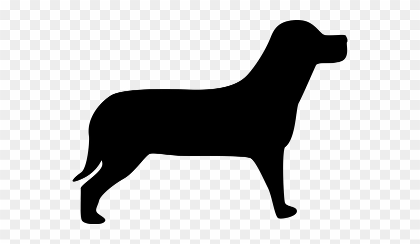 Silhouette, Dog, Male, Bitch, Growl, Black, Pet - Shape Of A Dog #1015804