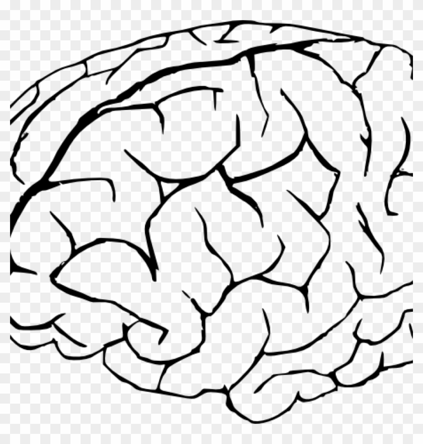 Brain Line Drawing Clip Art At Clker Vector Online - Brain Coloring Pages #1015944