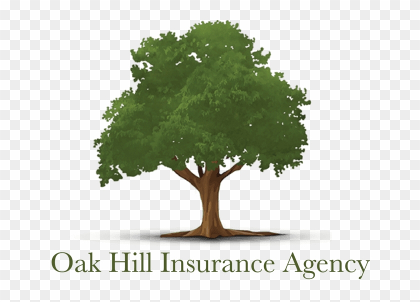 25 Oak Hill Circle, Ste 103, Cartersville Ga 30120 - Insurance #1015987