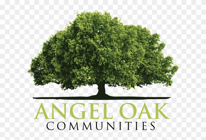 Angel Oak Communities - Angel Oak #1016013