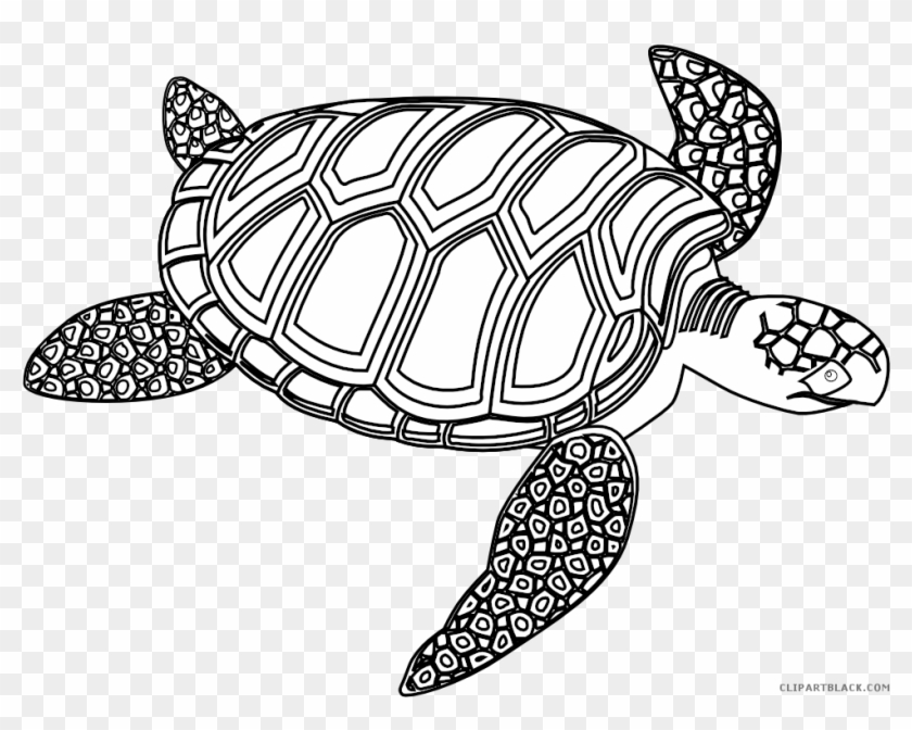 Sea Turtle Animal Free Black White Clipart Images Clipartblack - Turtle Black And White #1016104