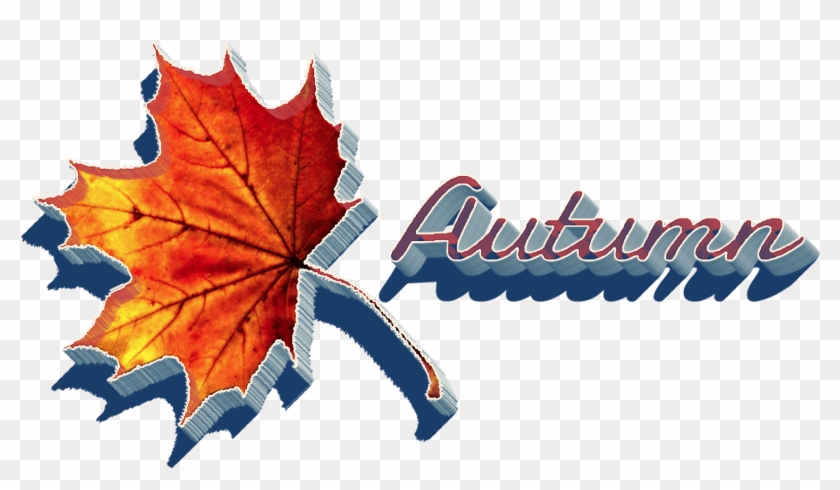 Autumn Leaves Png Clipart - Clip Art #1016111