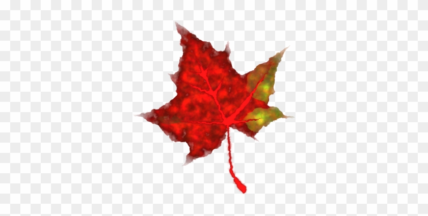 Leaves Clipart Red Fall Leaves - Small Pics Of Leaves #1016148