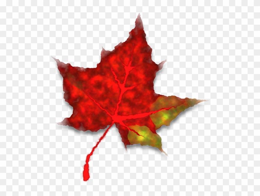 Maple Leaf Image 22, Buy Clip Art - Lá Phong Đỏ Rơi #1016150