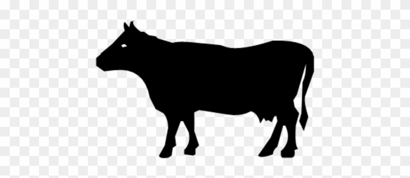 Cow Decal #1016366