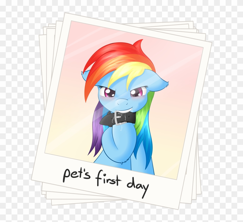 Ratofdrawn, Blushing, Collar, Female, Pet, Pet Dash, - Mlp Rainbow Dash Pet #1016387