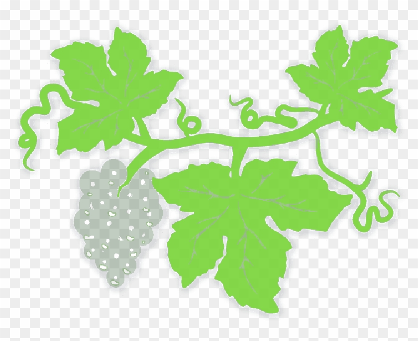 Green Leaf Border Clip Art - Grape #1016473