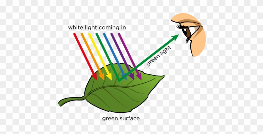 Colors Of Objects - رؤية الاجسام بالوانها المختلفة #1016549