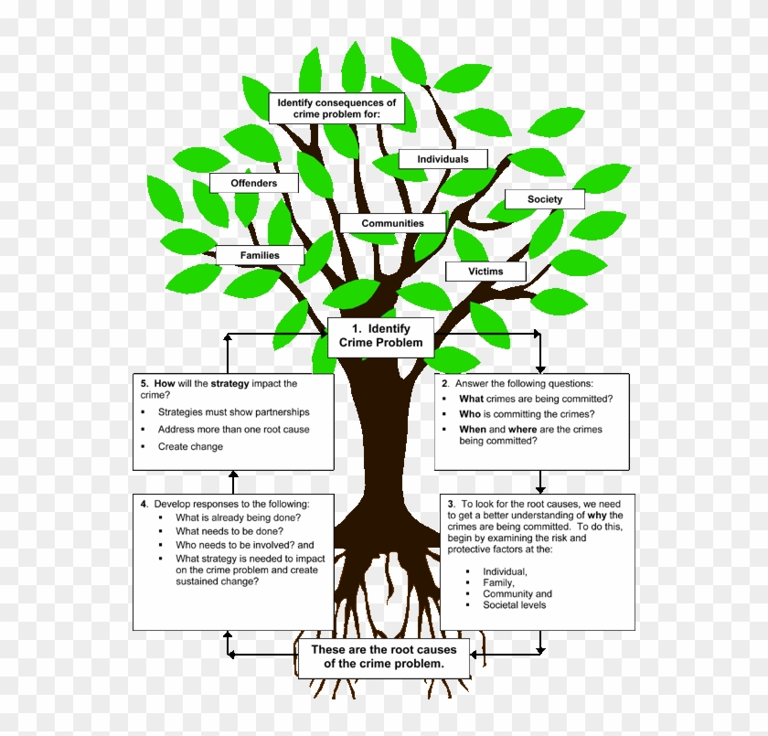 Root Causes Map - Résumé #1016554