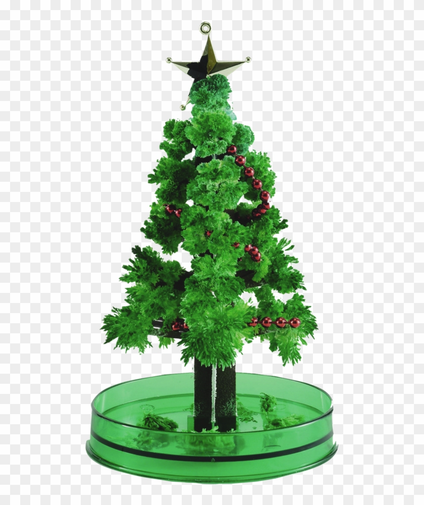 Christmas Tree Magic Grower - Magic Growing Christmas Tree Kit #1016770