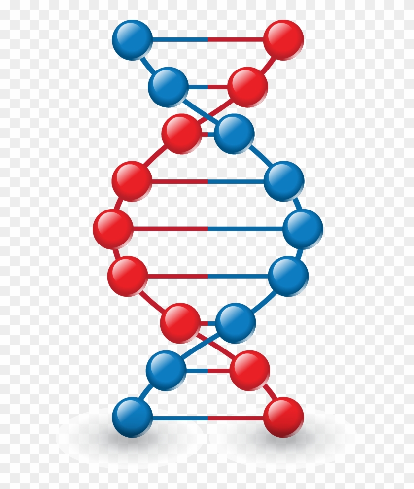 Dna Vector Model - Dna Vector Model #1016804