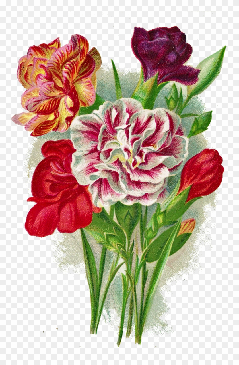 Vintage Carnation Bouquet Free Png Image - J6472ityg Jumbo Thank You Card: Scentiments With Envelope #1016835