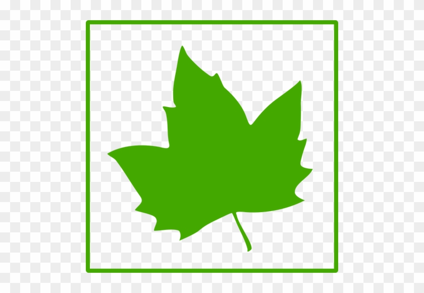 Eko Yaprak Vektör Simgesi - Green Maple Leaf Icon #1016844