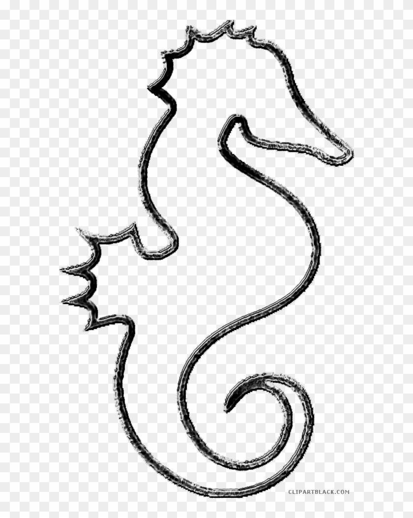 Seahorse Outline Animal Free Black White Clipart Images - Sea Horse Line Art #1016873