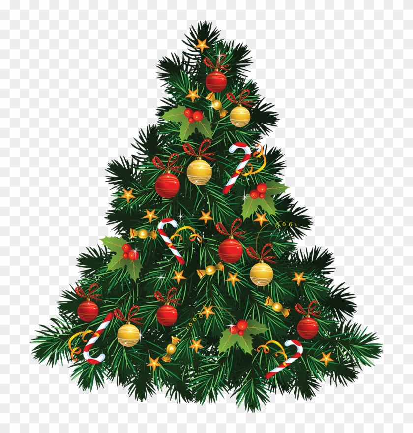 La Navidad Y Sus Tradiciones - Christmas Tree Images Png #1016947