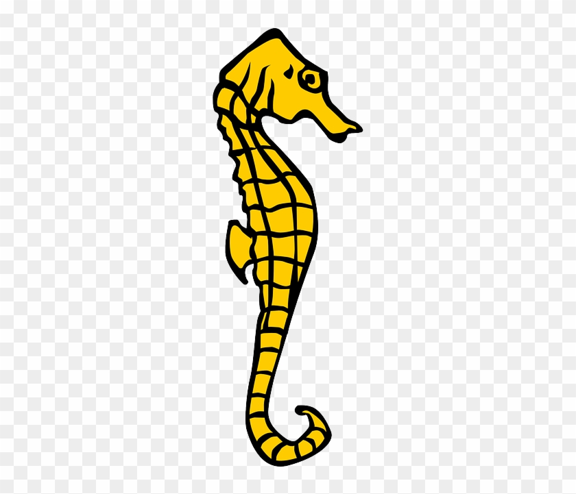 Seahorse, Yellow, Heraldry, Ocean, Marine, Sea - Seahorse Clipart #1016950