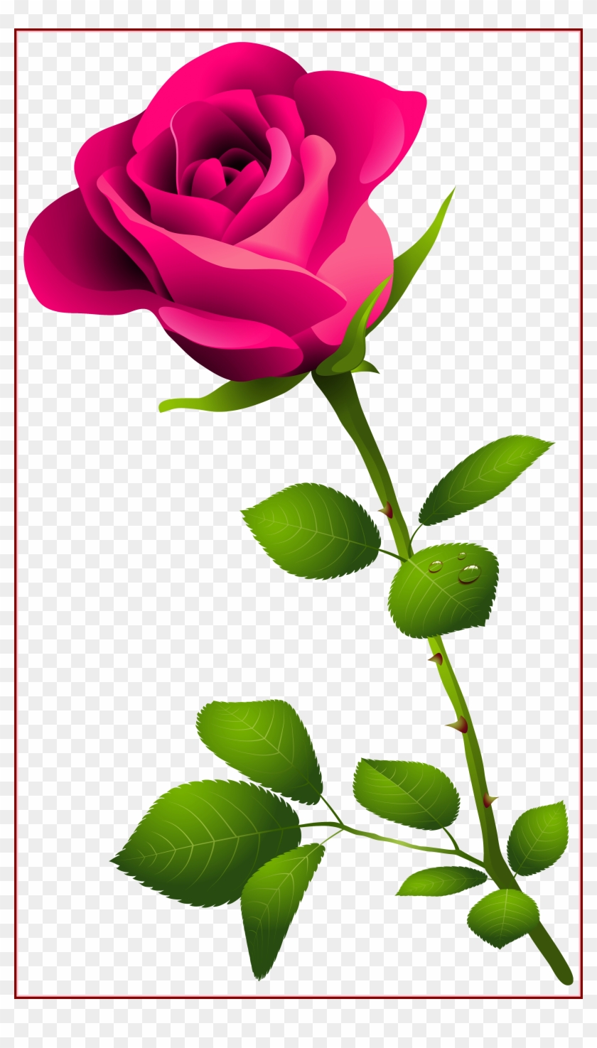 Rose Flower Rose Flower Images P Amazing Pink Rose - Happy Rose Day Image Download #1017189