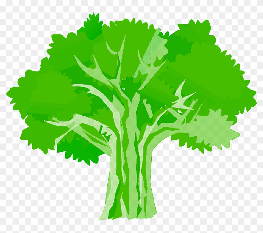 Tree, Environment, Ecology, Nature, Plant - Oak Tree Clipart Hd #1017280