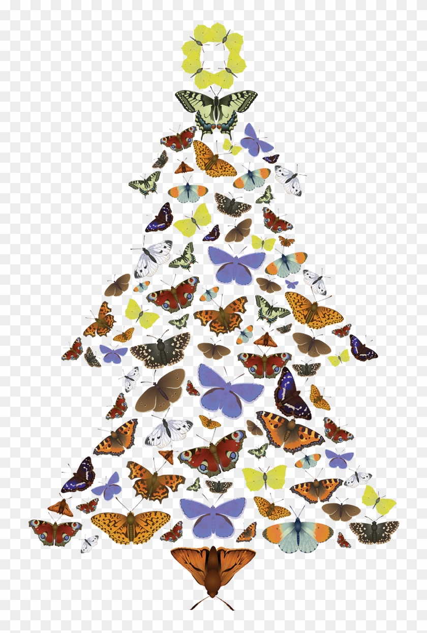 The Pine Carpet Moth Loves Scots Pine Trees - Christmas Tree #1017288