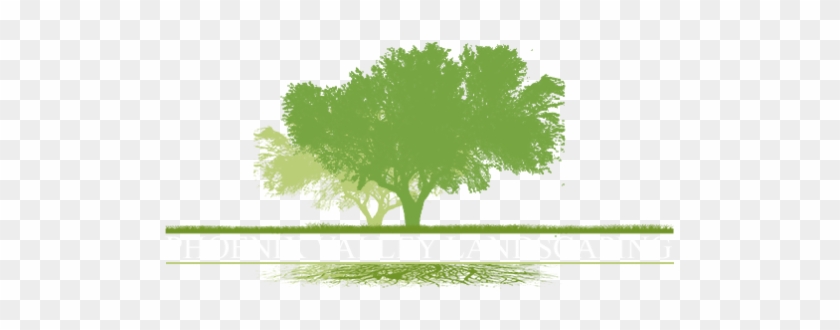 Landscape Installation Services Phoenix - Landscape Tree Logo #1017310