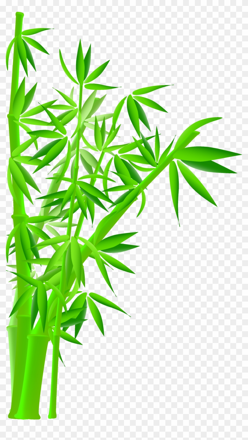 Royalty-free Bamboo Stock Photography Illustration - Bamboo Tree #1017324
