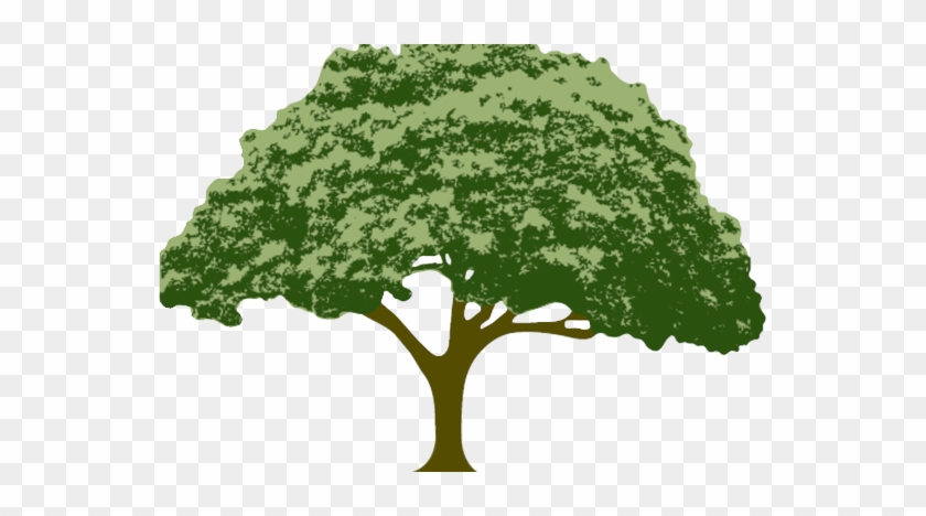Mullett's Tree Surgery - Live Oak Homes Logo #1017351