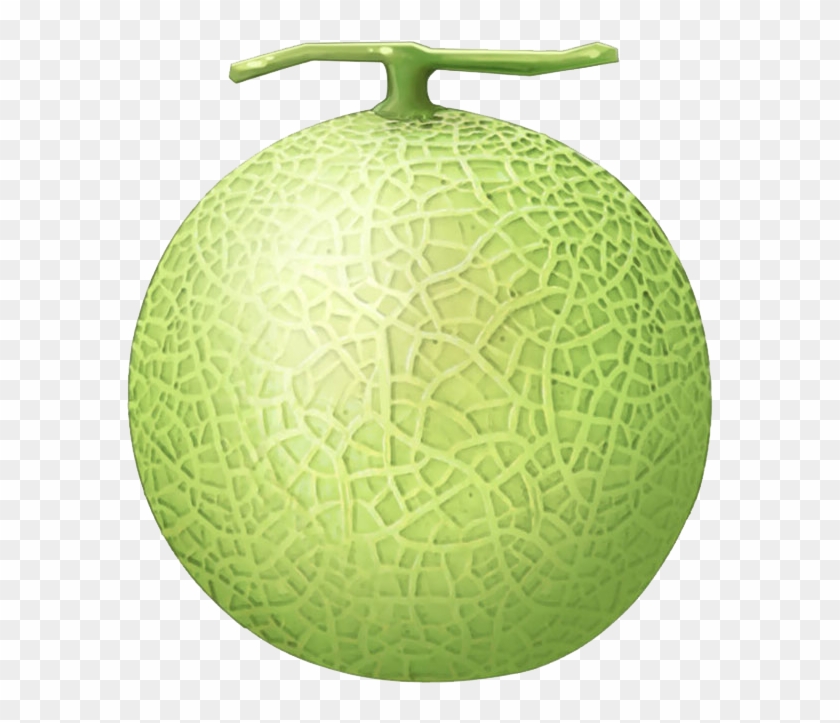 28 Collection Of Melon Clipart Png - Melon Png #1017385