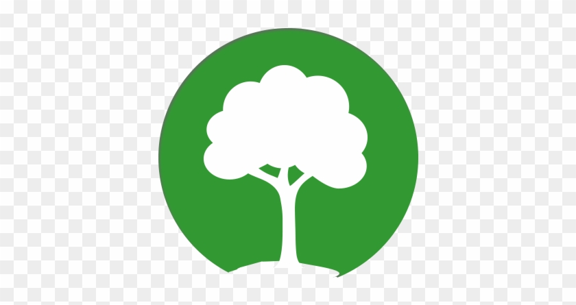 Tree Trunk Removal Icons - Tree Services Icon #1017416