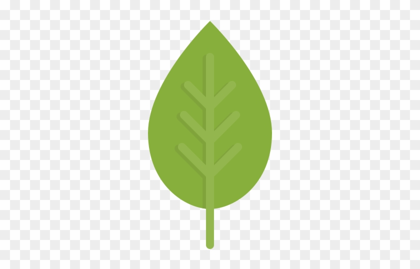 512 X 512 - Ecologic Png #1017430