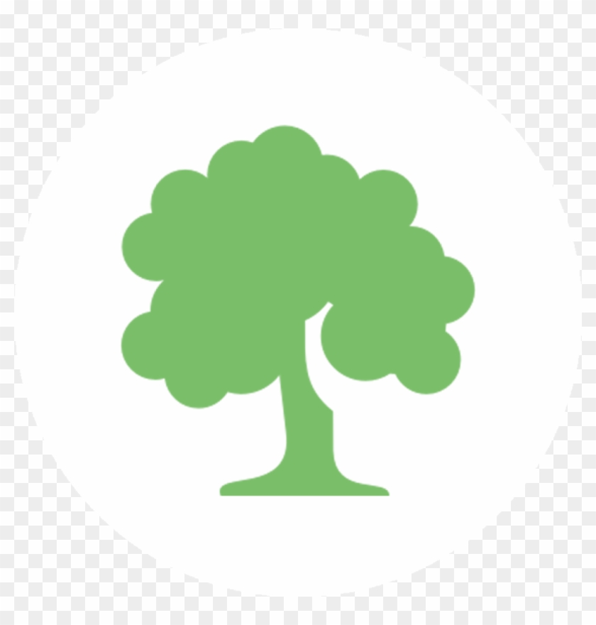 Forests Are Growing - Tree Icon Png #1017433