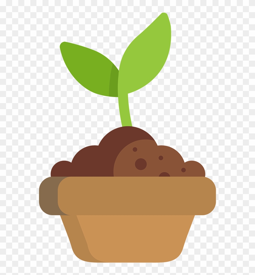 Certification - Transparent Growing Plant Gif Animation #1017446