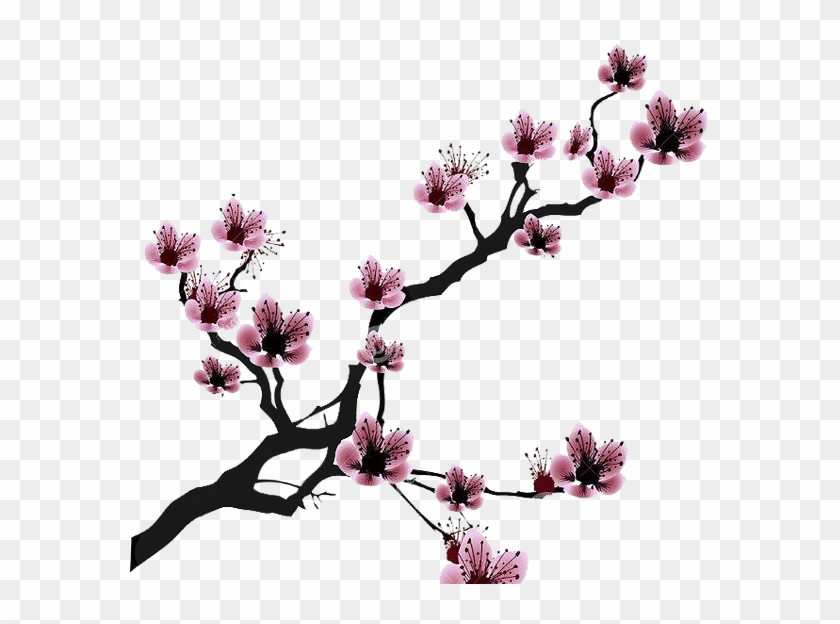 Cherry Blossom Drawing Clip Art - Black And White Cherry Blossom Clip Art #1017546
