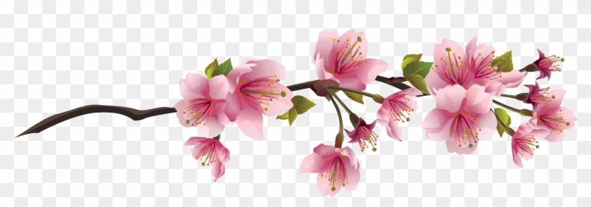 Cherry Blossom Branch Clip Art - Cherry Blossom Leaves Png #1017560