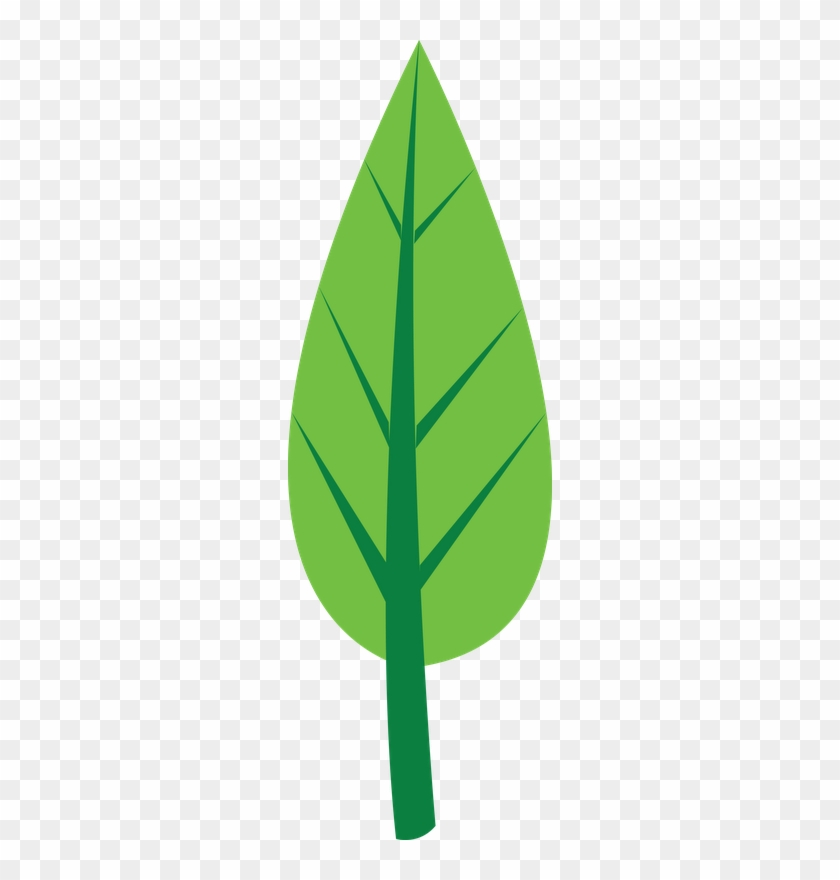 Pássssscoa - - Circle #1017670