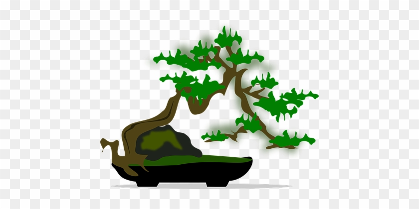 Bonsai Clip Art Flora Nature Plant Tree Bo - Bonsai Graphic Png #1017695