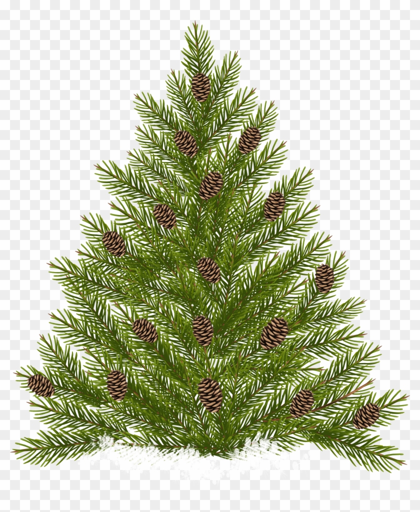 Pine Tree With Cones Transparent Png Clip Art - Pine Tree With Cones #1017754