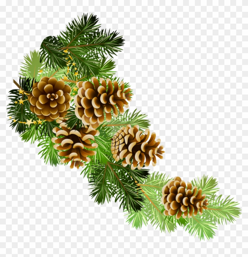 Cone Clipart Pine Tree Branch - Pine Cone Border Clip Art #1017755