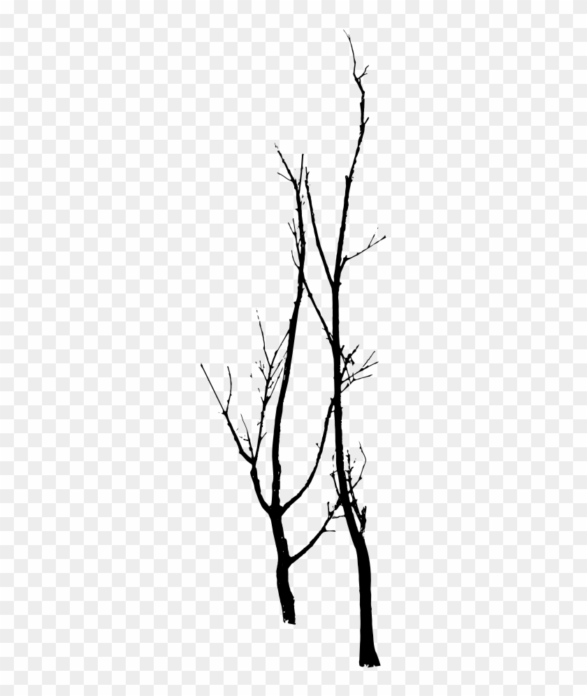 Dead Tree Clipart Download Transfer To Pillows T-shirts - Tree #1017978