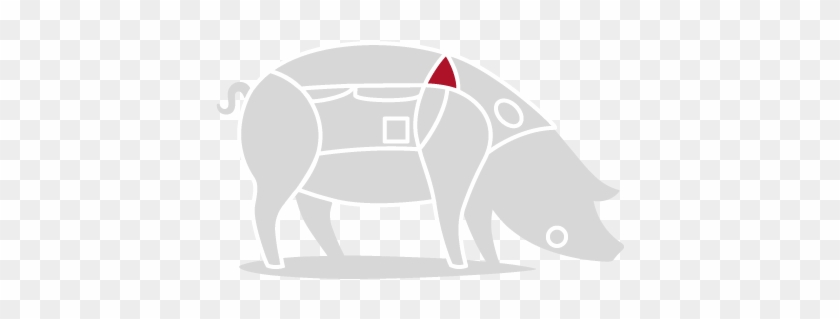 Pluma De Bellota 100% Ibérica - Domestic Pig #1017980