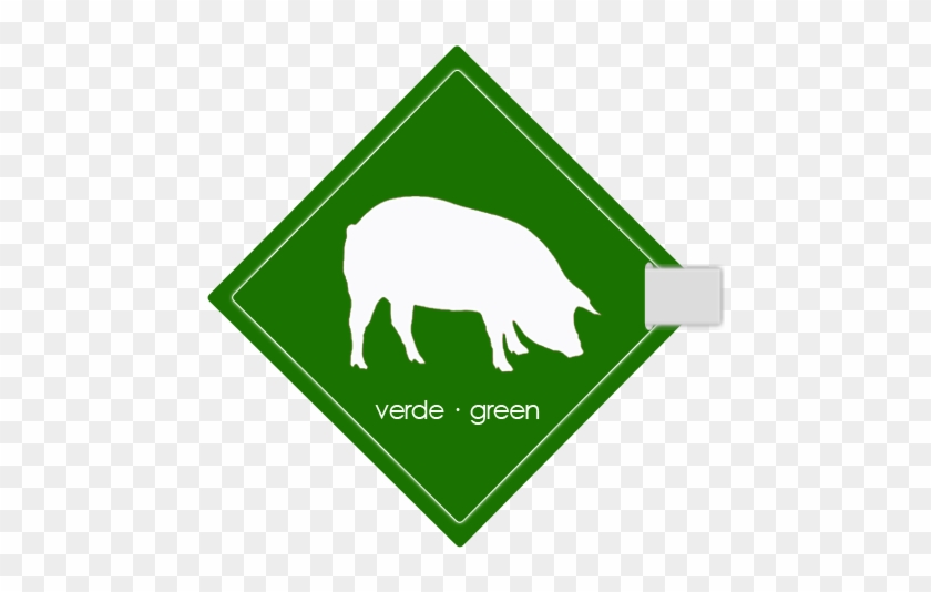Boar #1017993