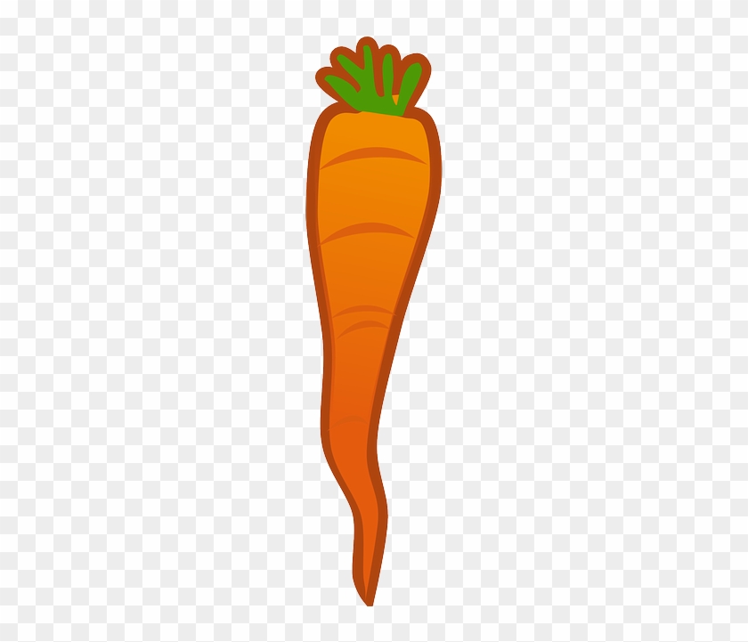 Food, Plants, Vegetables, Carrots, Plant - Wortel Transparant #1018221