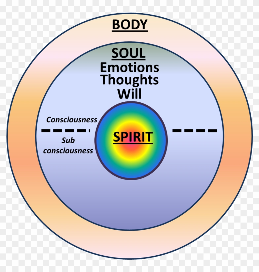 A) How Is Man Made In The Image And Likeness Of God - Soul Spirit And Body #1018243
